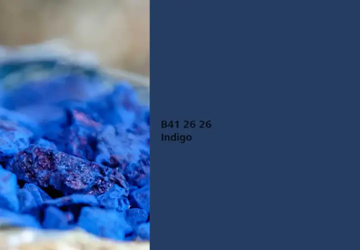 Nahaufnahme von zerstoßenem Pigment in tiefem Indigo. Die Farbe wirkt intensiv und fast samtig.