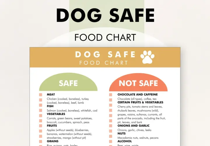 Dog food chart lists safe foods. Safe vegetables for dogs include carrots, green beans, sweet potatoes, broccoli, cucumbers, spinach, and peas.