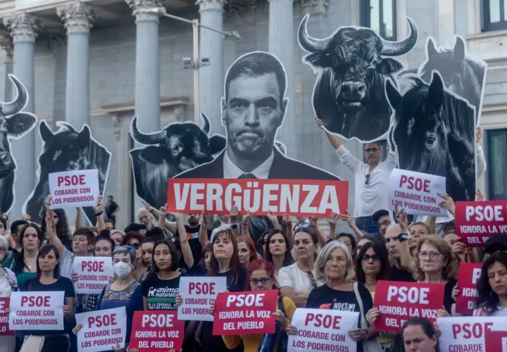 Manifestantes protestan frente al Congreso con carteles de toros y un retrato de Pedro Sánchez. "Vergüenza" y "PSOE cobarde con los poderosos" se leen en la tierra del toro.