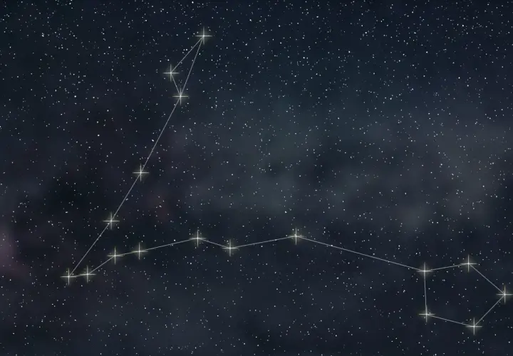 Gwiazdozbiór Ryby na tle nocnego nieba. Linie łączą jasne gwiazdy, tworząc kształt dwóch ryb.