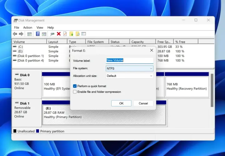 Datenträgerverwaltung zeigt ein Fenster zur Formatierung einer **raw partition** (E:) mit NTFS-Dateisystem.