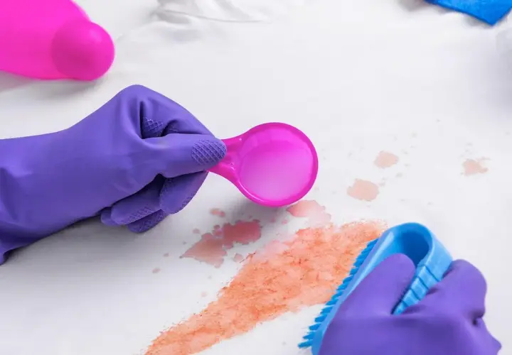 Lila Handschuhe entfernen mit Bürste und Löffel rote Flecken, vielleicht Cranberry-Flecken, von weißem Stoff.