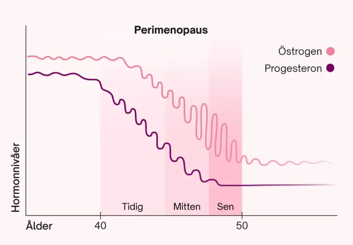Graf över hormonförändringar under perimenopausen. Östrogen och progesteron sjunker gradvis, vilket kan leda till att man blev gravid i klimakteriet.