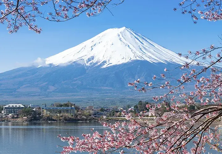 Co może rosnąć w japońskich górach? Odkryj niezwykłą florę Japonii