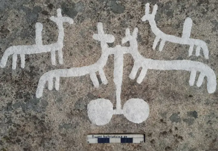 Malarstwo naskalne: odkryj tajemnice prehistorycznej sztuki