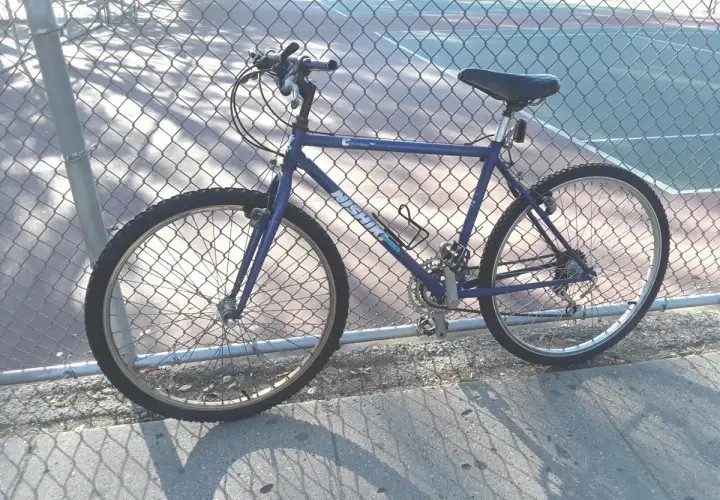 A blue Nishiki Colorado mountain bike leans against a chain-link fence, casting a shadow on the pavement.