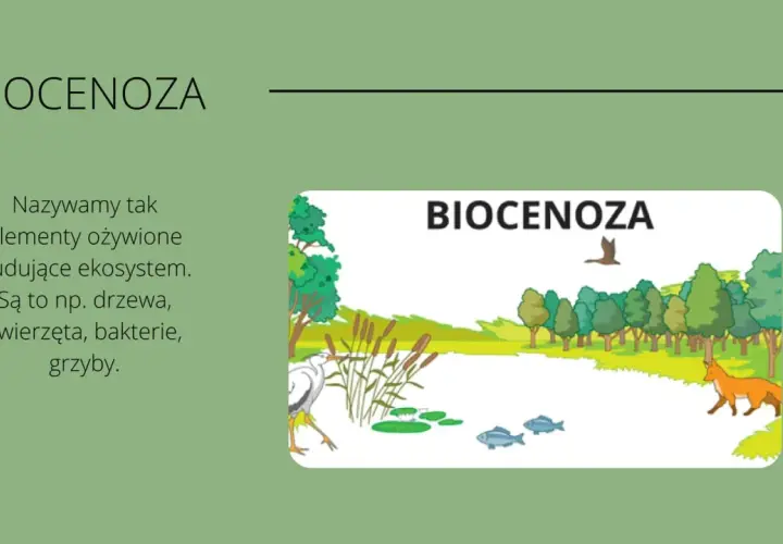 Co to jest ekosystem? Definicja i czym się charakteryzuje ten układ przyrodniczy