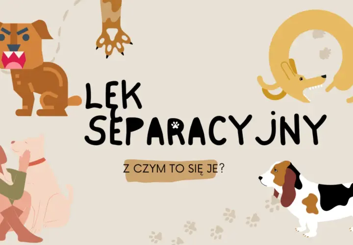 Ilustracja przedstawia psy w różnych sytuacjach, sugerując lęk separacyjny. Widoczny jest wściekły pies, pies przytulający się do człowieka i pies w kształcie koła.