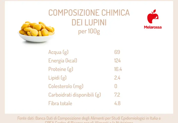 Tavola nutrizionale dei lupini di mare: 100g contengono 124 kcal, 16.4g di proteine e 4.8g di fibra.