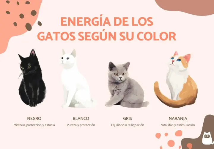 Un gato negro misterioso, uno blanco puro, un gris sereno y un naranja vital, mostrando la energía de los gatos según su color.