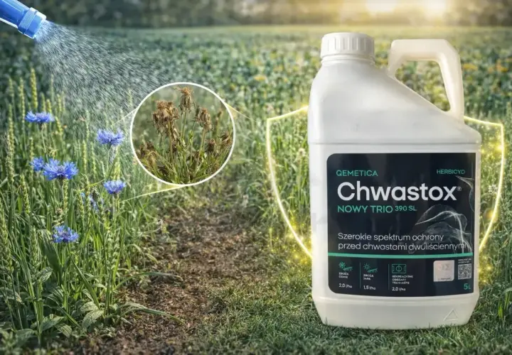 Chwastox Nowy Trio 390 SL – skuteczne zwalczanie chwastów dwuliściennych. Zobacz zalecane chwastox dawkowanie na opakowaniu.