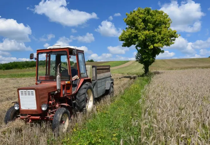 Jak zaliczyć pracę w gospodarstwie do stażu? Krok po kroku