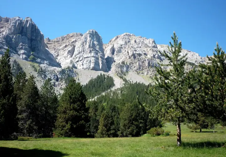 Prat de Cadi, un prado verde con pinos y majestuosas montañas rocosas de fondo bajo un cielo azul claro.