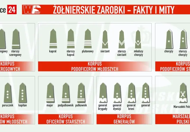 Grafika przedstawia stopnie w żandarmerii wojskowej, od szeregowego do Marszałka Polski, z podziałem na korpusy.