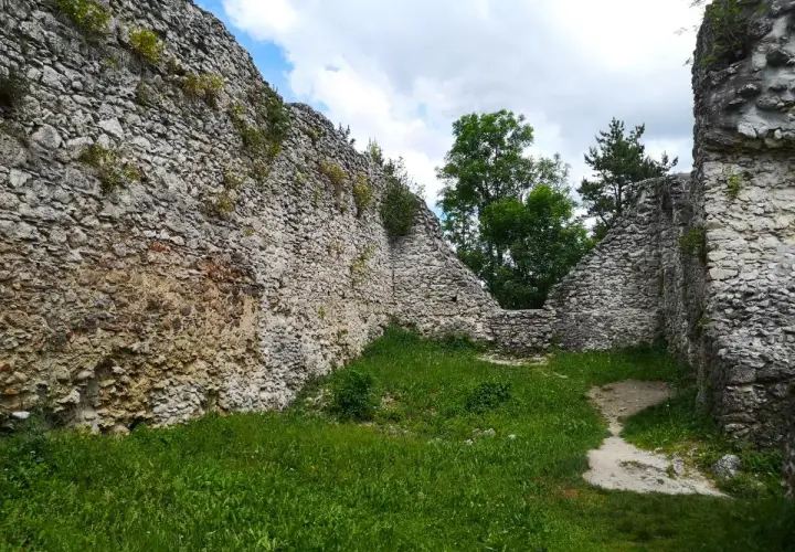 Ruiny zamku Bydlin porośnięte trawą, z kamiennymi murami i drzewami w tle.