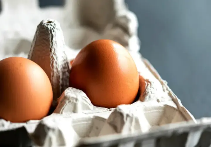 Deux œufs bruns dans un carton, prêts à congeler pour une utilisation future.