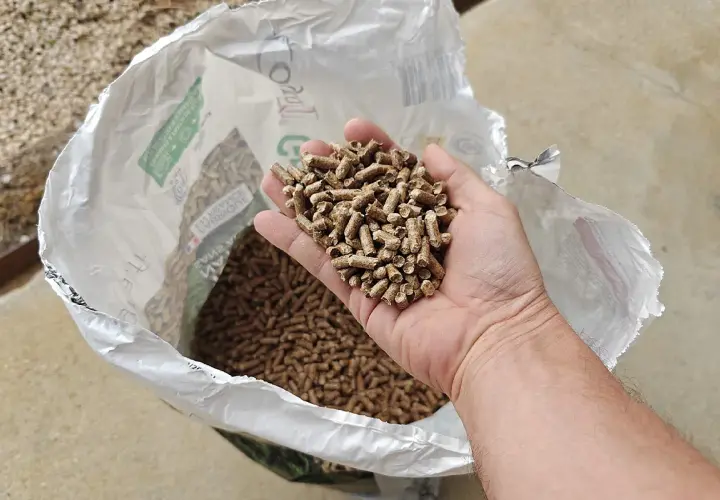 Main d'homme tenant des granulés de bois, pour estimer la consommation pellet par jour. Sac ouvert en arrière-plan.