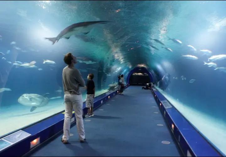 Oceanarium Kołobrzeg - atrakcje, ceny biletów i godziny otwarcia