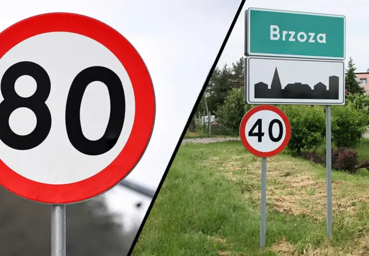Znak b33 z ograniczeniem do 80 km/h po lewej, a po prawej znak miejscowości Brzoza z ograniczeniem do 40 km/h.
