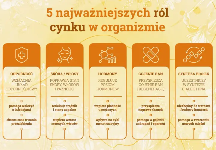 Grafika przedstawia 5 kolumn z ikonami i tekstem opisującym role cynku: odporność, skóra/włosy, hormony, gojenie ran, synteza białek.