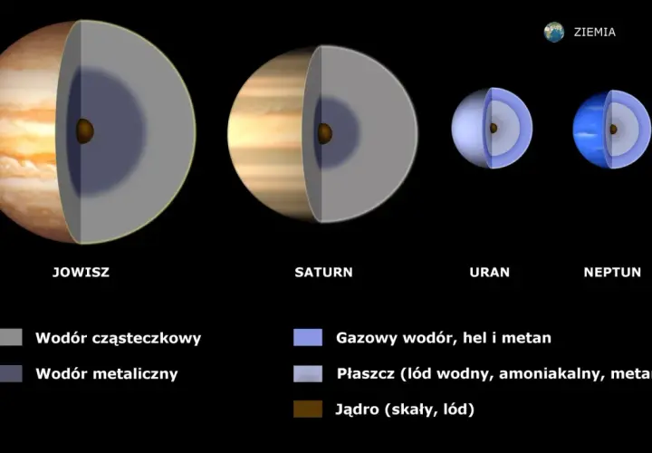 Przekroje Jowisza, Saturna, Urana i Neptuna pokazują różnice między planetami gazowymi i skalistymi.