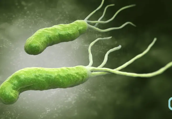 H. pylori w ustach? Sprawdź 7 objawów, które musisz znać!