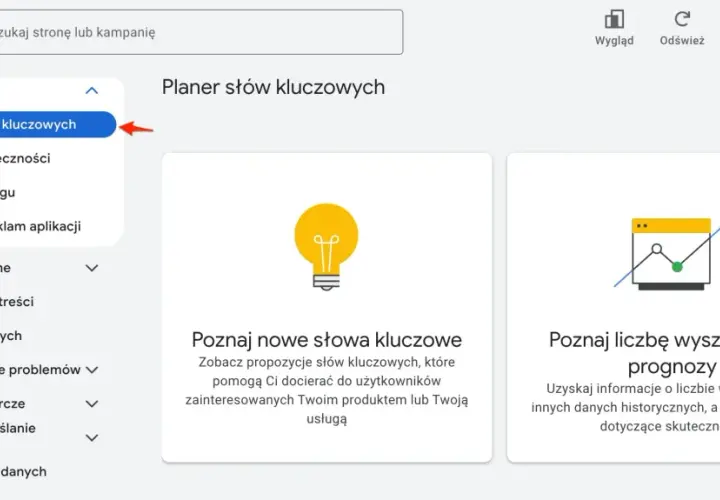Narzędzie Google Ads: Planer słów kluczowych pomaga znaleźć nowe frazy i prognozować ich skuteczność.