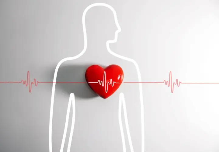 Czerwone serce z linią EKG symbolizuje kołatanie serca. Sylwetka człowieka i linie EKG podkreślają jego znaczenie.
