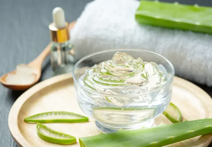 Przezroczysty żel z aloesu, liście aloesu i buteleczka z pipetką. Naturalny **aloe barbadensis leaf extract** do pielęgnacji.