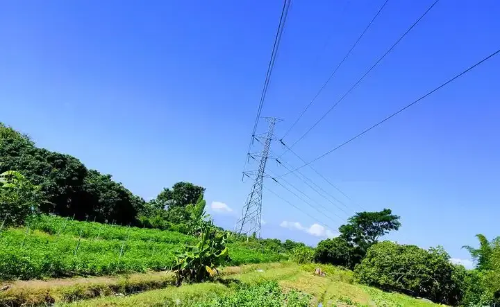 Ile wynosi odszkodowanie za słupy energetyczne na działce? Sprawdź!