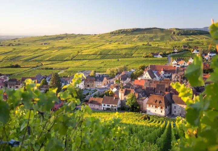 Vue d'un village pittoresque sur la route des vins d'Alsace, entouré de vignobles verdoyants baignés de soleil.
