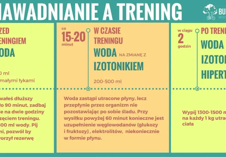 Zasady prawidłowego nawadniania organizmu w procentach: przed treningiem 500 ml wody, w trakcie co 15-20 min woda/izotonik, po treningu 1300-1500 ml płynów na kg utraty masy ciała.