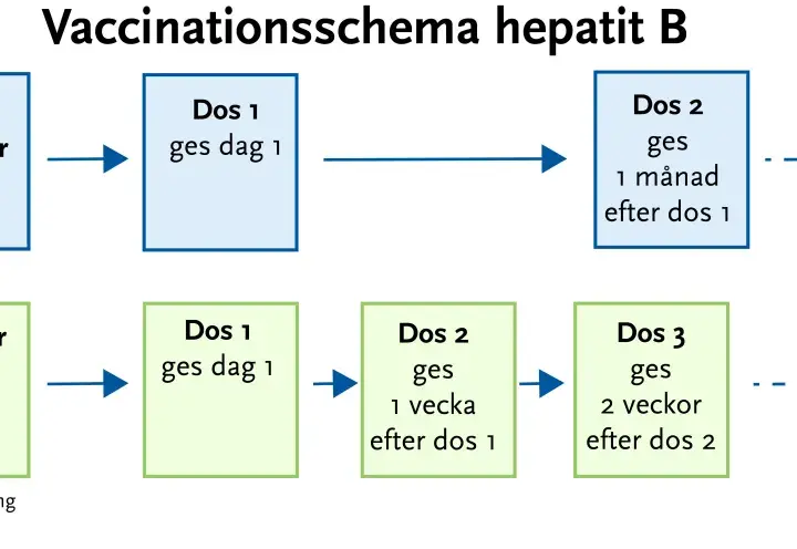 Schema för hepatit B-vaccination. Normalt schema ges vid 0, 1 och 6 månader. Snabbschema ges vid 0, 1, 3 veckor och 12 månader.