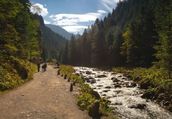 Spacerzycie ścieżką wzdłuż rwącego potoku, otoczeni gęstym lasem. Słońce przebija się przez chmury, oświetlając tę najładniejszą dolinę w Tatrach.