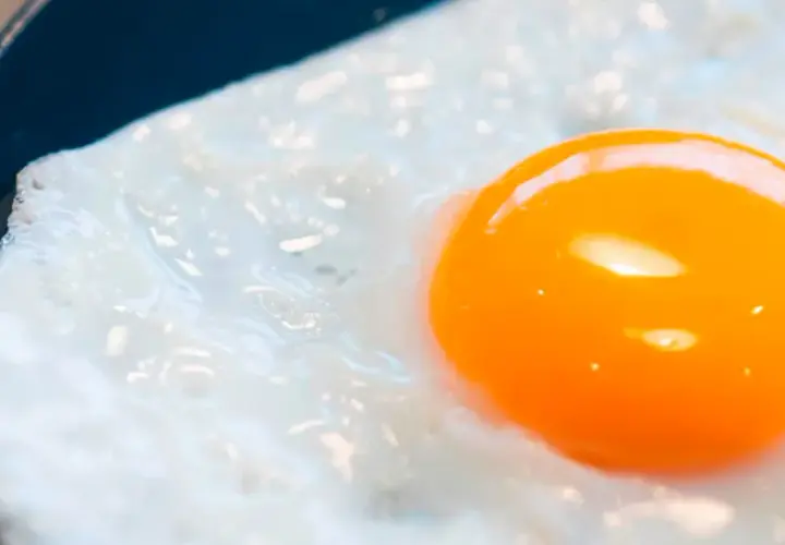 Un œuf au plat, avec son jaune d'or brillant, est servi dans une assiette bleue. Les **œufs frits** sont un délice simple.