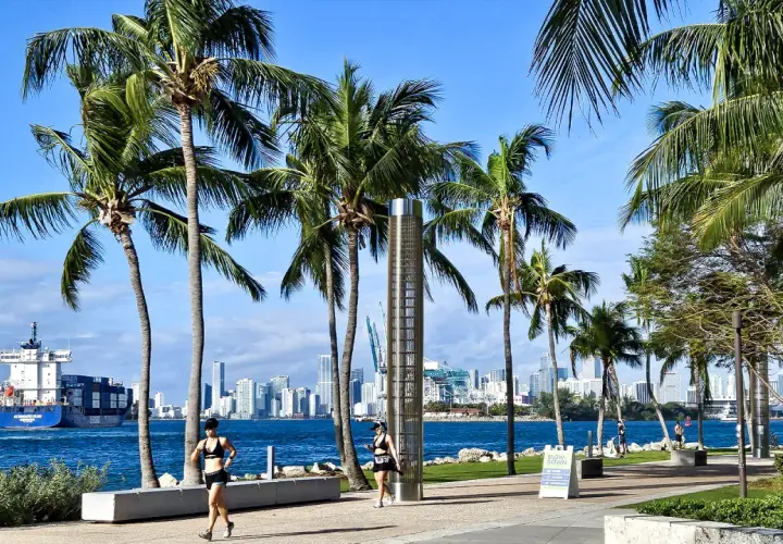 Kiedy jechać do Miami? Słoneczny dzień, palmy, biegnące kobiety i statek towarowy na wodzie. Idealny czas na aktywność!