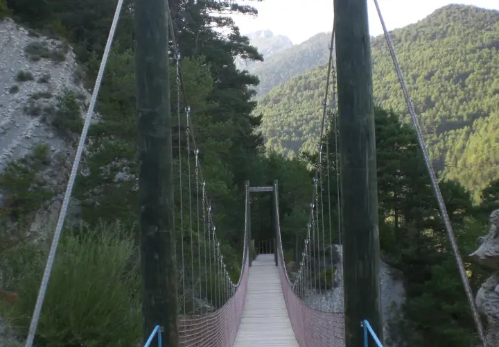 Puente colgante de madera y metal en la vía del Nicolau, rodeado de bosques y montañas.