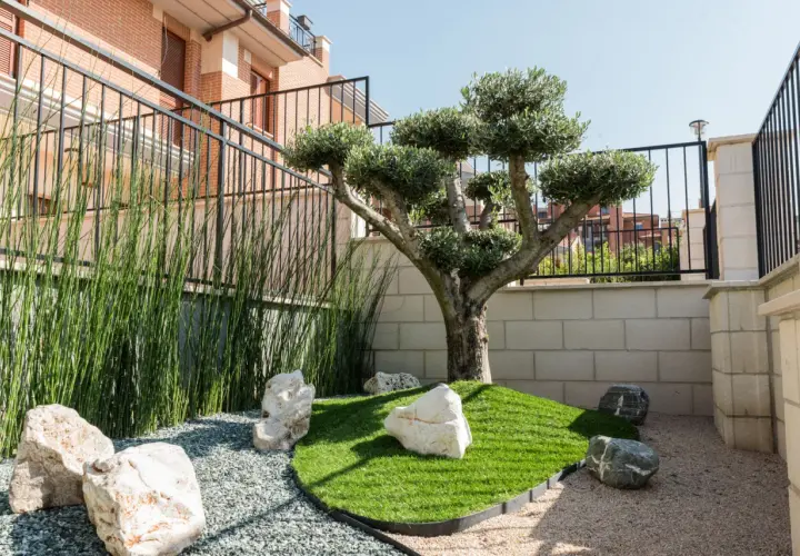 Un ulivo solitario su un'isola di erba sintetica, circondato da ghiaia e rocce. Le **bordure intorno agli alberi** sono definite da un sottile bordo nero.