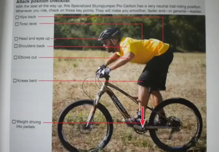 Prawidłowa pozycja na rowerze MTB: biodra cofnięte, tułów lekko pochylony, głowa uniesiona, łokcie zgięte, kolana ugięte, ciężar na pedałach.