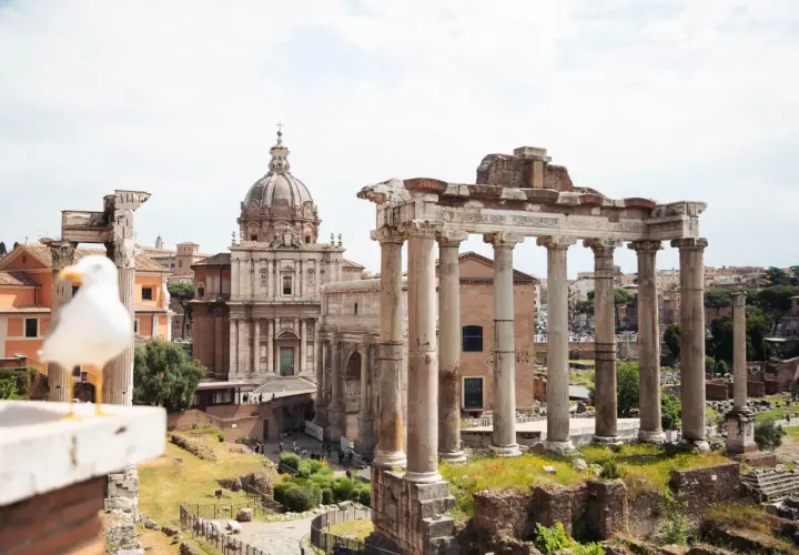 Un goéland observe les ruines antiques du Palatin à Rome, avec une église à dôme en arrière-plan.