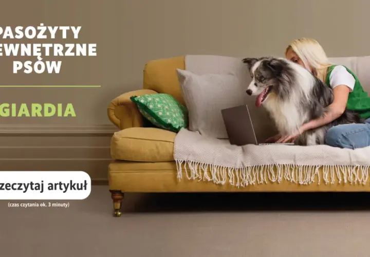 Co na odrobaczanie psa i kota? Wiem, jak ochronić pupila!