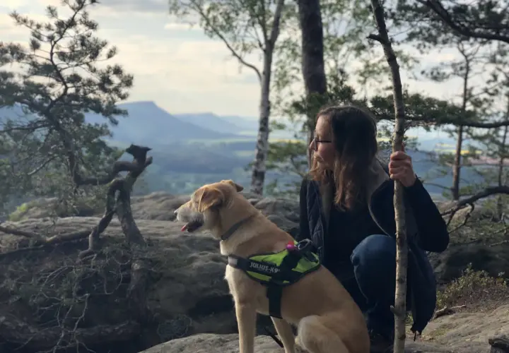 Pies i jego opiekunka podczas dog trekking w górach. Pies w kamizelce Julius-K9 patrzy w dal.