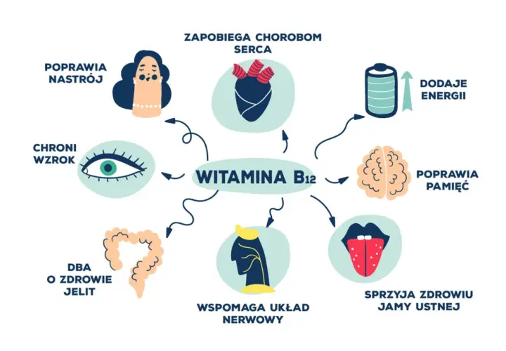 Wykres pokazuje korzyści witaminy B12: poprawia nastrój, chroni wzrok, dba o jelita, wspiera układ nerwowy, poprawia pamięć, dodaje energii, zapobiega chorobom serca i sprzyja zdrowiu jamy ustnej. Nadmiar witaminy B12 nie jest wskazany.