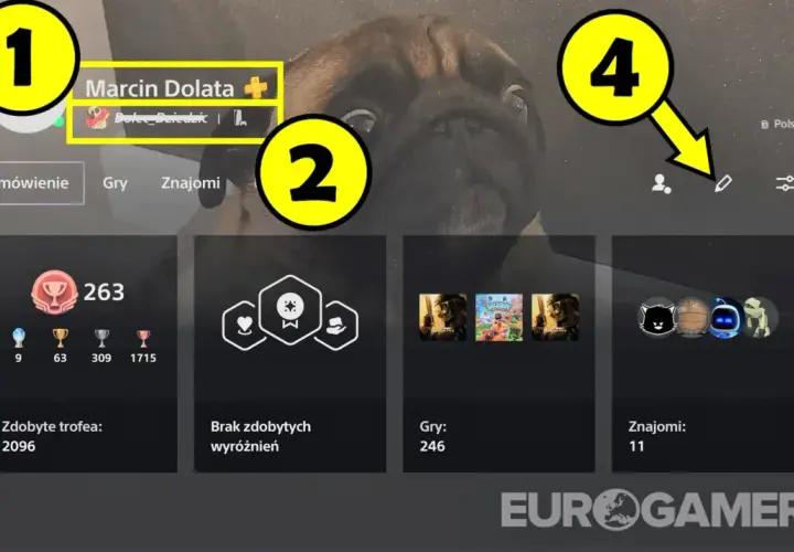 Zmiana nicku w PSN: Czy stracisz trofea? Poradnik i ryzyka