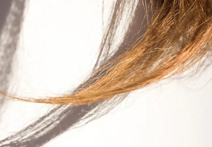 Un mechón de cabello castaño claro con puntas abiertas, iluminado por la luz del sol que proyecta sombras alargadas.