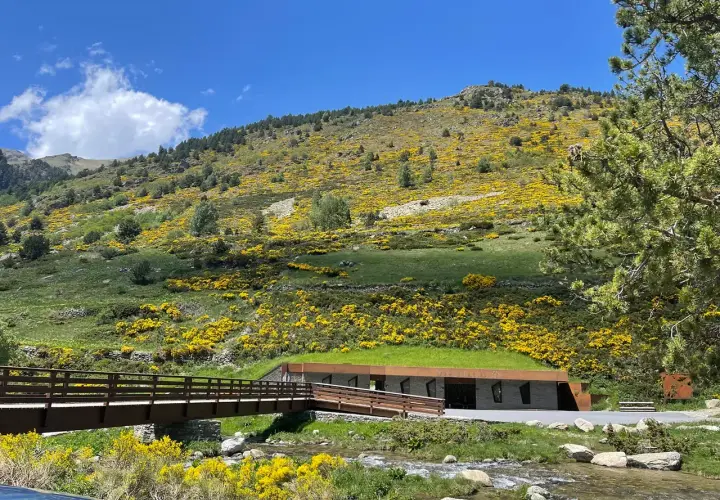 Un puente de madera cruza un arroyo en el **Vall d'Incles**, con una colina cubierta de flores amarillas y un edificio de techo verde al fondo.