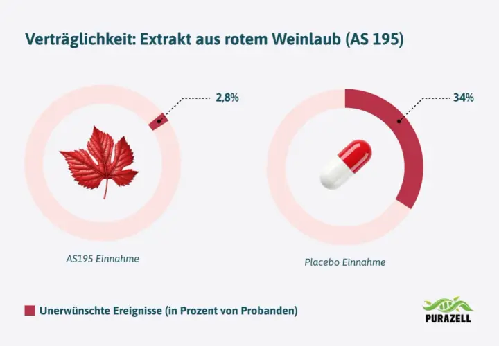 Vergleich der Verträglichkeit: Rotes Weinlaub (AS195) zeigt nur 2,8% unerwünschte Ereignisse, Placebo 34%.