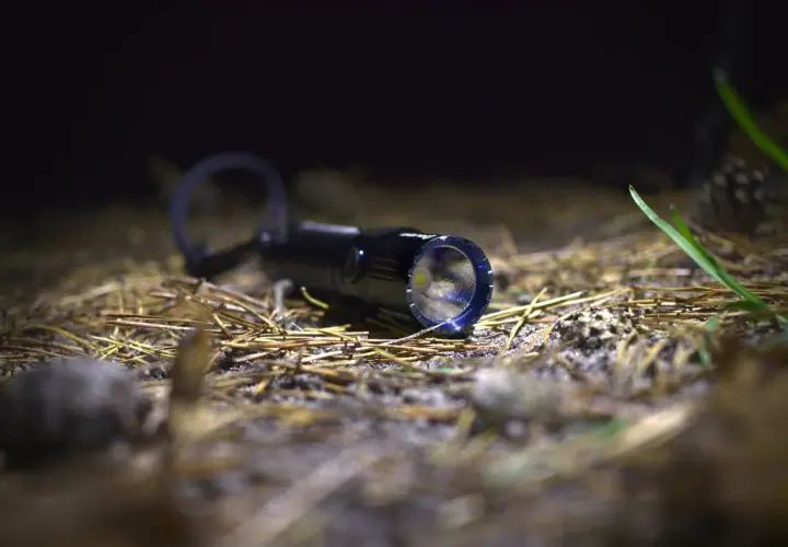 Latarka Olight M2R Warrior leży na ściółce leśnej, gotowa do akcji.