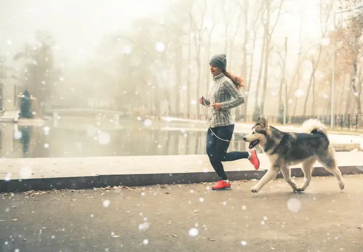 Kobieta i jej pies husky cieszą się wspólnym bieganiem w zimowy, mglisty dzień nad jeziorem.