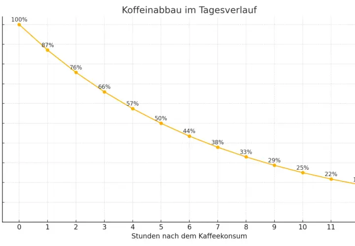 Der Graph zeigt den Koffeinabbau im Körper über 12 Stunden. Nach 12 Stunden sind nur noch 19% des ursprünglichen mg Koffein pro Tag vorhanden.